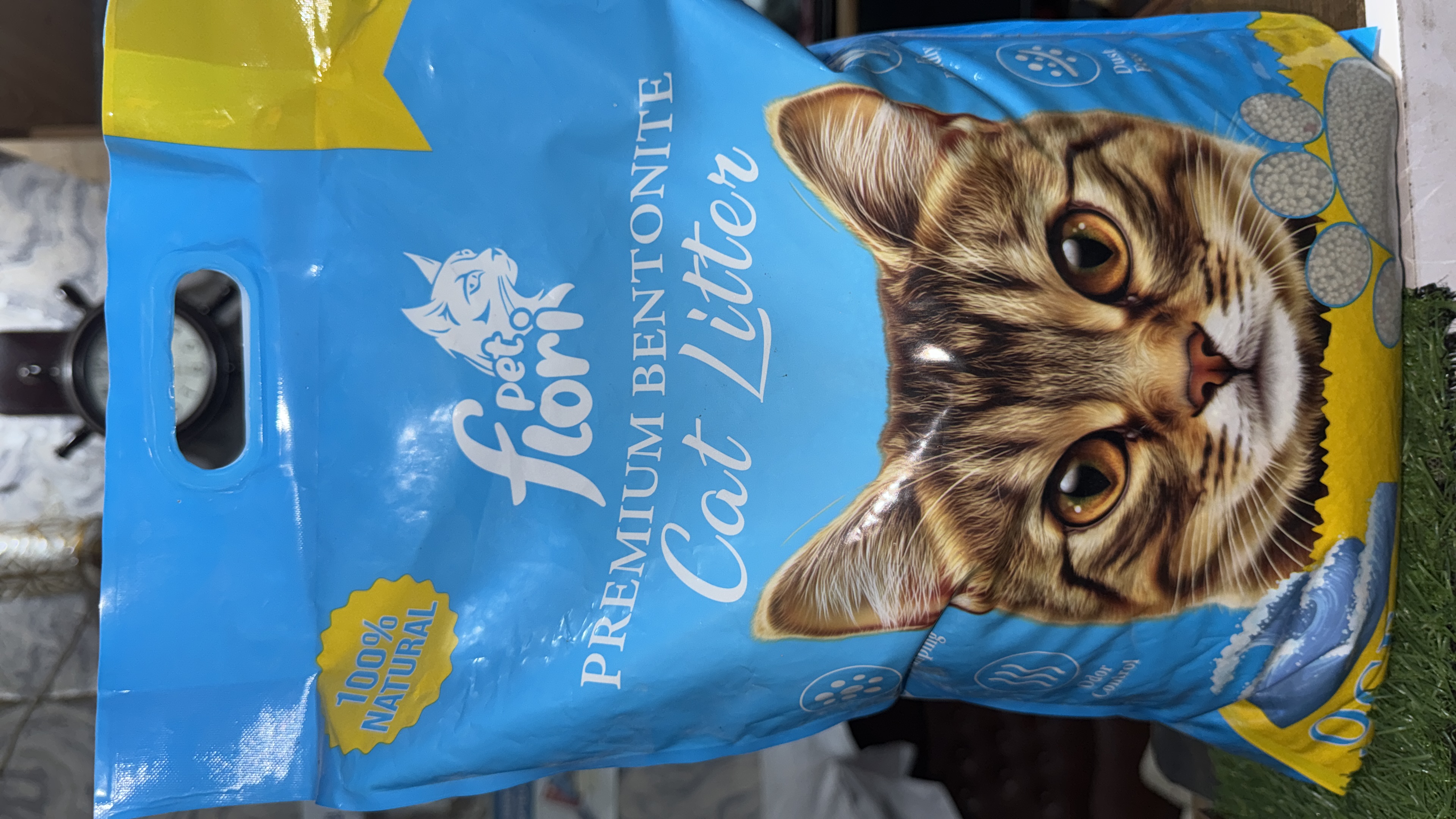 Prime Pets Hospital  — shop photo 4, B-17 Islamabad